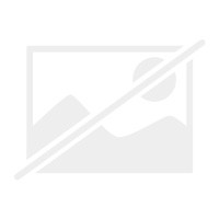 017482 wellensittiche h - wellensittiche,